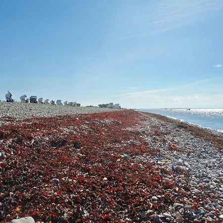 Prázdninový dům Charmantes Mit Garten Auf Fehmarn